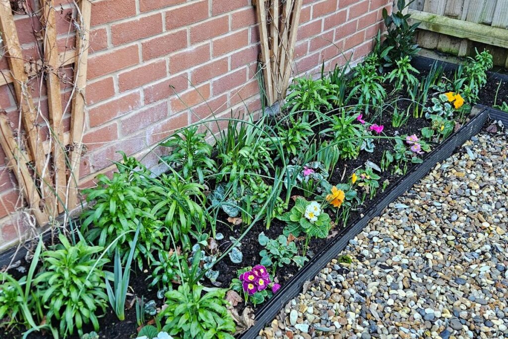 A flower border in the vegetable garden at Grow Your Own Delicious.