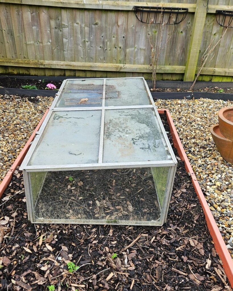 A vintage cold frame for us in the kitchen garden at Grow Your Own Delicious.